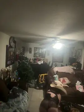 Cataleia21 online show from December 18, 12:21 pm