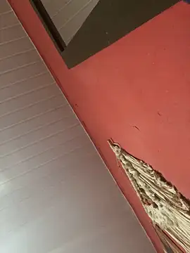 pimenta gaby online show from November 4, 11:04 am