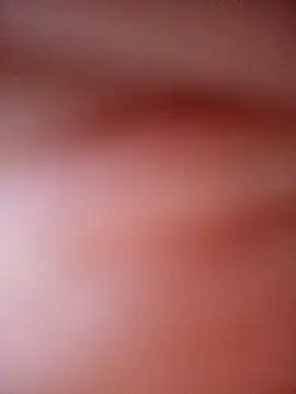 CASADASIGILO2 online show from November 4, 1:05 pm