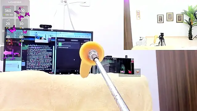 Paulina Davis  online show from October 18, 2:47 am