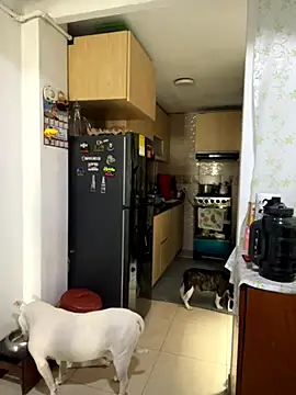 charlotte stevenss  online show from October 22, 3:06 pm