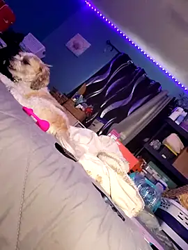 SexyNikki6969 online show from March 30, 8:52 pm