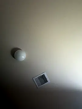 TrueeFantasee online show from November 8, 6:46 pm