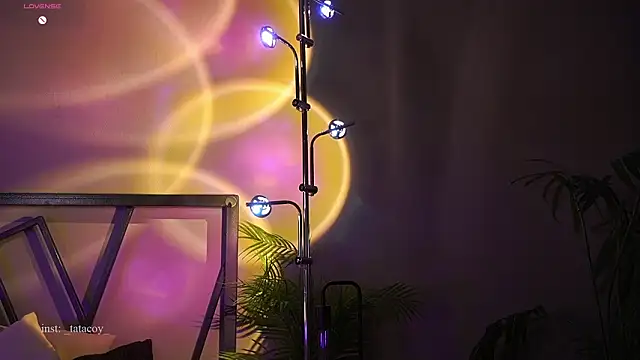 TataCoy online show from February 27, 4:07 pm