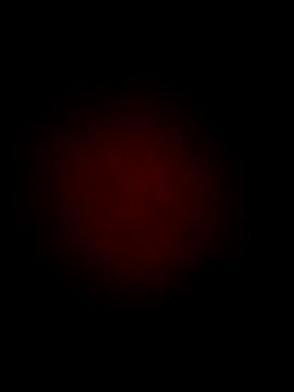 Deeplong24 online show from September 19, 3:05 am