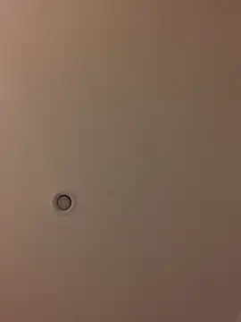 Deeplong24 online show from October 29, 9:39 pm