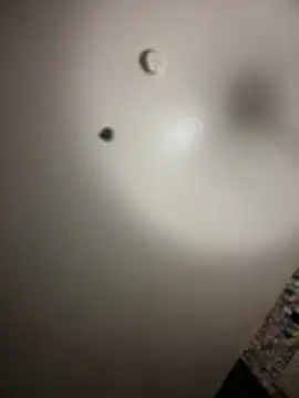 Miss west online show from December 5, 3:17 am